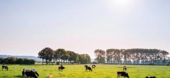 Infosessies nieuw Gemeenschappelijk Landbouwbeleid 2023-2027 op Agriflanders